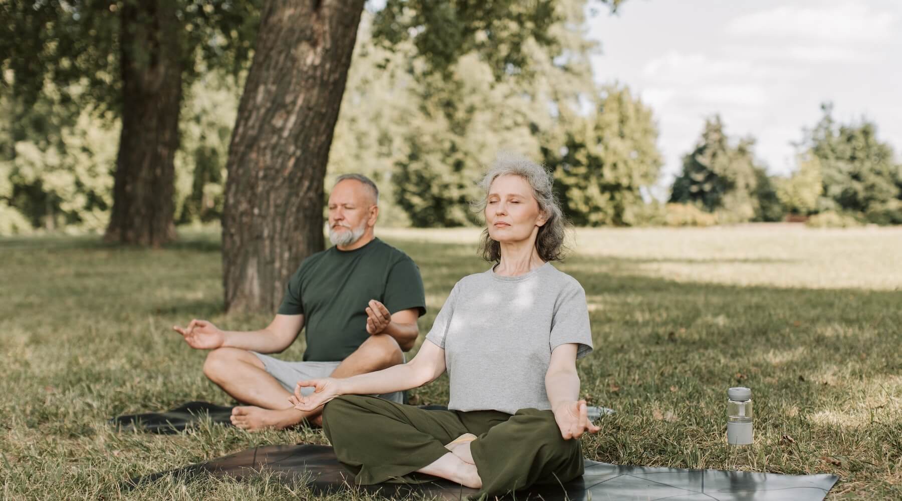 Elderly couple practicing yoga in a park